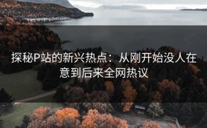 探秘P站的新兴热点：从刚开始没人在意到后来全网热议