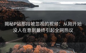 揭秘P站那段被忽视的视频：从刚开始没人在意到最终引起全网热议