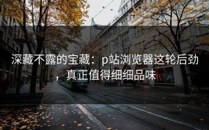 深藏不露的宝藏：p站浏览器这轮后劲，真正值得细细品味