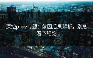 深挖pixiv专题：前因后果解析，别急着下结论