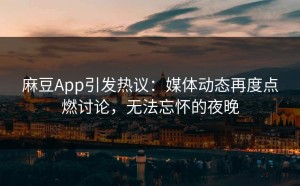 麻豆App引发热议：媒体动态再度点燃讨论，无法忘怀的夜晚