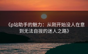 《p站助手的魅力：从刚开始没人在意到无法自拔的迷人之路》