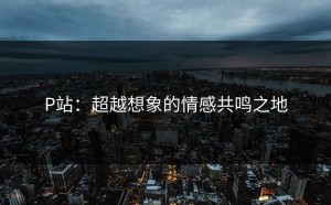 P站：超越想象的情感共鸣之地