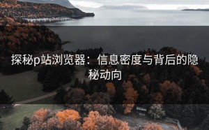 探秘p站浏览器：信息密度与背后的隐秘动向