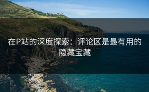 在P站的深度探索：评论区是最有用的隐藏宝藏