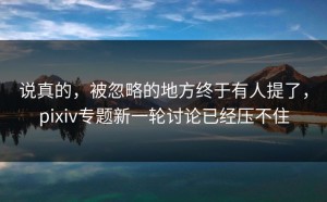 说真的，被忽略的地方终于有人提了，pixiv专题新一轮讨论已经压不住