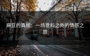 麻豆的真相：一场意料之外的情感之旅