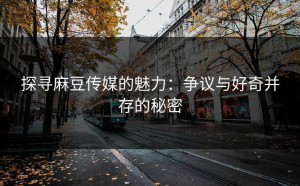 探寻麻豆传媒的魅力：争议与好奇并存的秘密