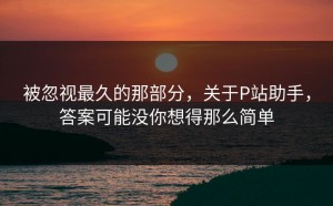 被忽视最久的那部分，关于P站助手，答案可能没你想得那么简单
