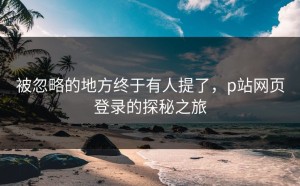 被忽略的地方终于有人提了，p站网页登录的探秘之旅