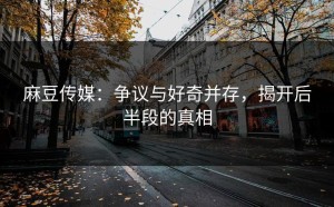 麻豆传媒：争议与好奇并存，揭开后半段的真相