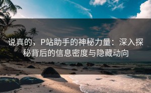 说真的，P站助手的神秘力量：深入探秘背后的信息密度与隐藏动向