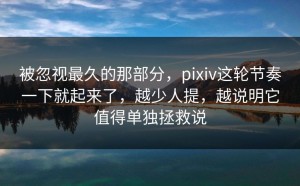 被忽视最久的那部分，pixiv这轮节奏一下就起来了，越少人提，越说明它值得单独拯救说