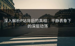 深入解析P站背后的真相：平静表象下的深层动荡
