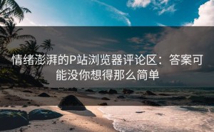 情绪澎湃的P站浏览器评论区：答案可能没你想得那么简单
