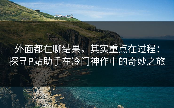 外面都在聊结果，其实重点在过程：探寻P站助手在冷门神作中的奇妙之旅