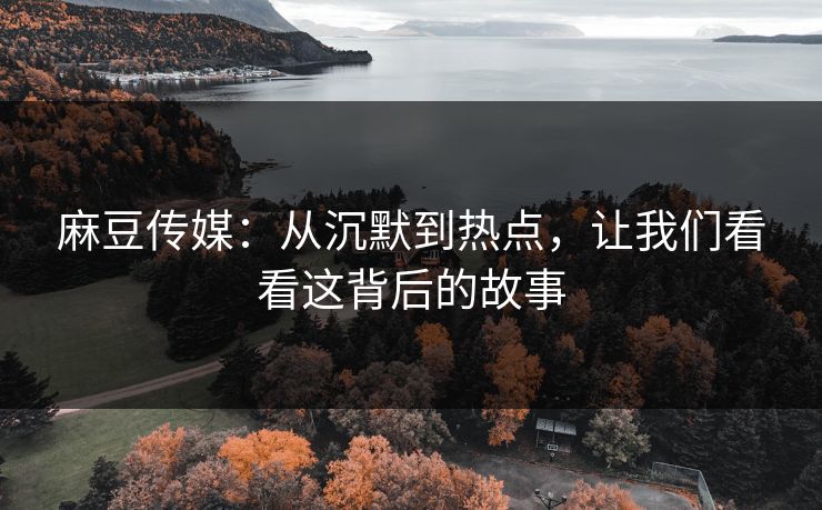 麻豆传媒：从沉默到热点，让我们看看这背后的故事