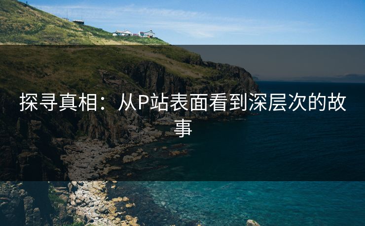 探寻真相：从P站表面看到深层次的故事