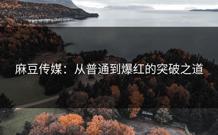 麻豆传媒：从普通到爆红的突破之道