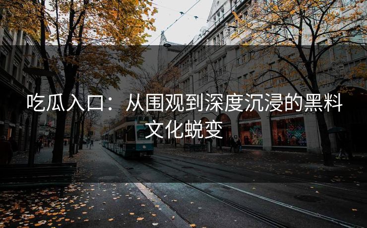吃瓜入口：从围观到深度沉浸的黑料文化蜕变