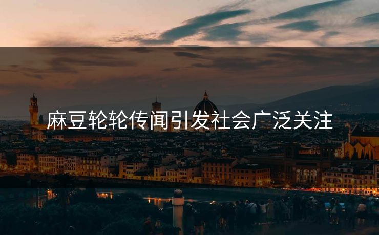 麻豆轮轮传闻引发社会广泛关注