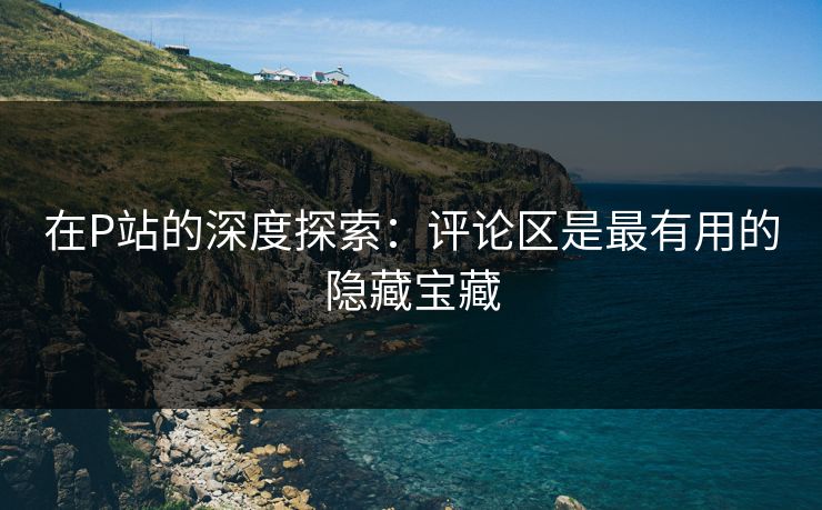 在P站的深度探索:评论区是最有用的隐藏宝藏 在P站的深度探索:评论区是最有用的隐藏宝藏
