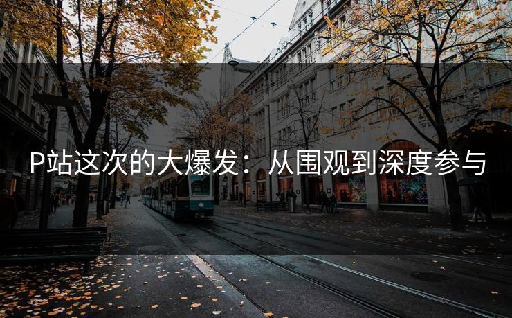 P站这次的大爆发:从围观到深度参与 P站这次的大爆发:从围观到深度参与