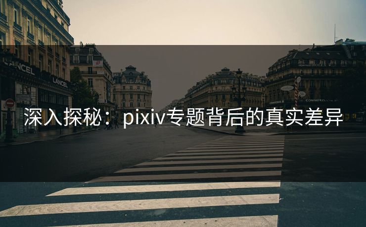 深入探秘：pixiv专题背后的真实差异