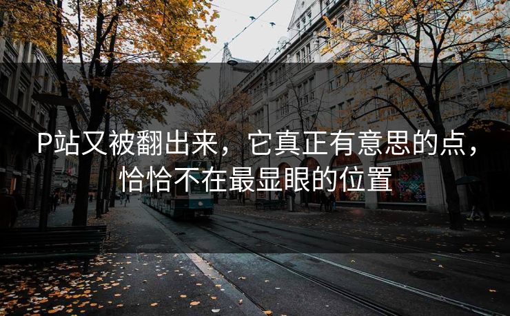 P站又被翻出来，它真正有意思的点，恰恰不在最显眼的位置