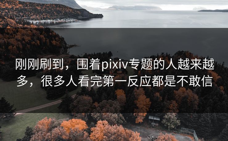 刚刚刷到，围着pixiv专题的人越来越多，很多人看完第一反应都是不敢信